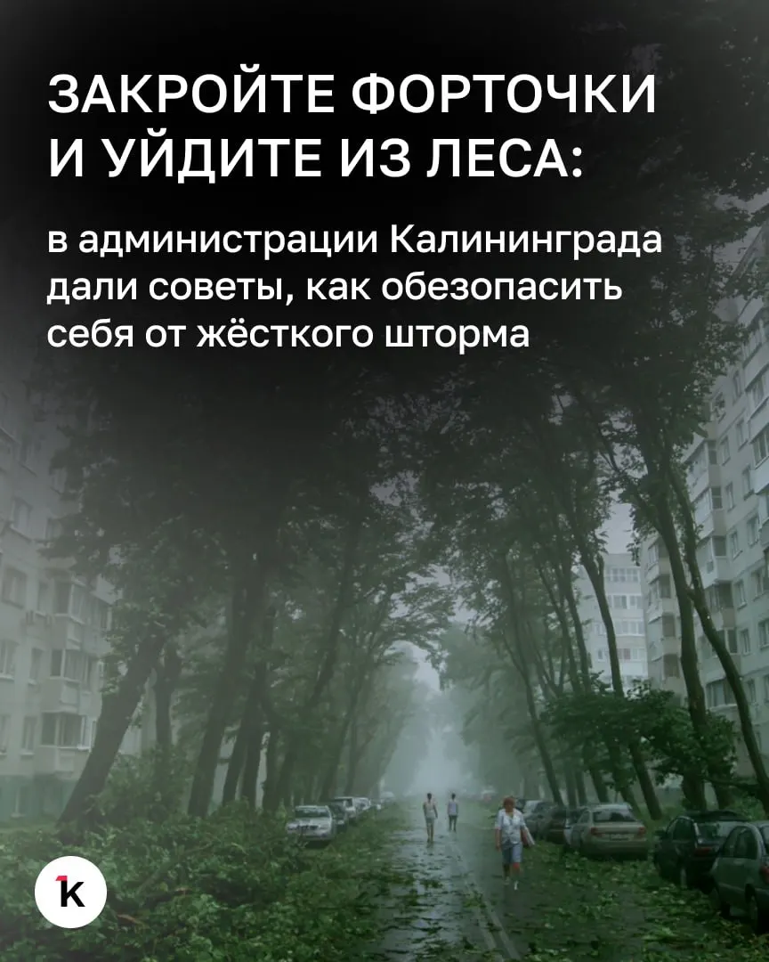 С 00:00 до 05:00 ожидается усиление ветра до 27–34 м/с, ливни, грозы и волны 3–5 м. Рекомендуются меры предосторожности и внимательное отношение к сообщениям властей.