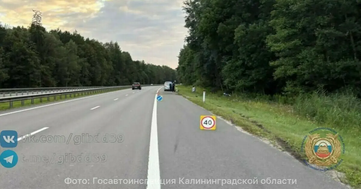 На 44-м километре трассы BMW при обгоне спровоцировал ДТП: Renault съехал в кювет и врезался в дерево. Пострадавшую госпитализировали, водителя-нарушителя разыскивают.