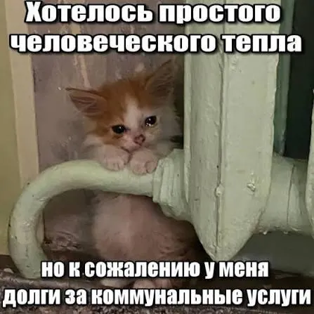 ВС подтвердил, что задолженность по капремонту старше трёх лет не должна включаться в платёжные документы — срок исковой давности даёт должнику защиту от принудительного взыскания.