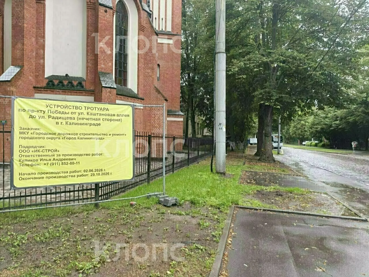 Работы идут на участке от Радищева до Каштановой аллеи; люди переживают, что техника повредит корни дуба и черной сосны и уничтожит недавно обновленные участки покрытия.