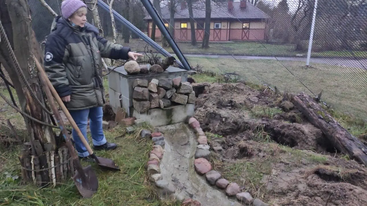 Теренс&nbsp;— восьмилетний трубкозуб из&nbsp;Калининградского зоопарка, известный дневным сном