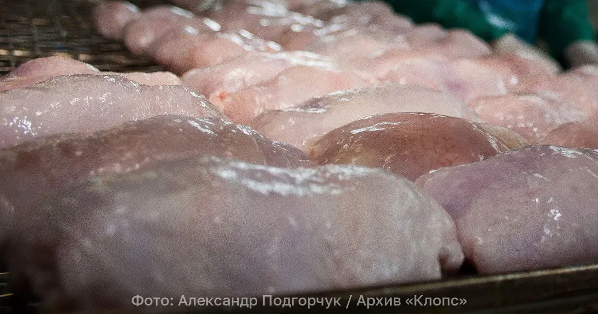 При проверке выявлено несоответствие дат выработки и маркировки курятины; образцы направлены в лабораторию, продукция будет храниться на складе до получения результатов.