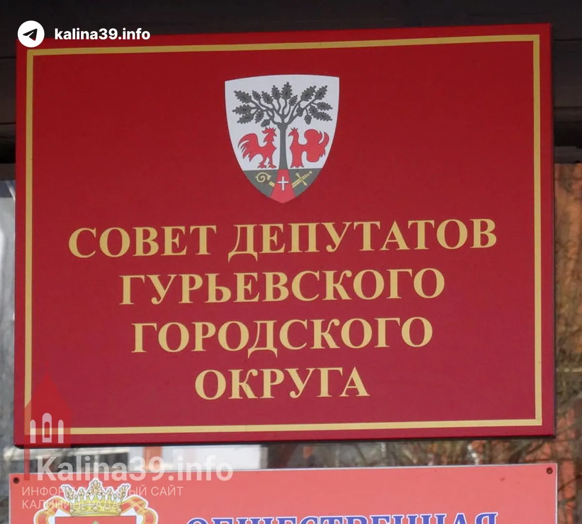 Семь кандидатов от партии задекларировали доходы за прошлый год в диапазоне от 40 до 76 млн рублей; наибольший — 76,1 млн рублей у Ильи Оноприенко.