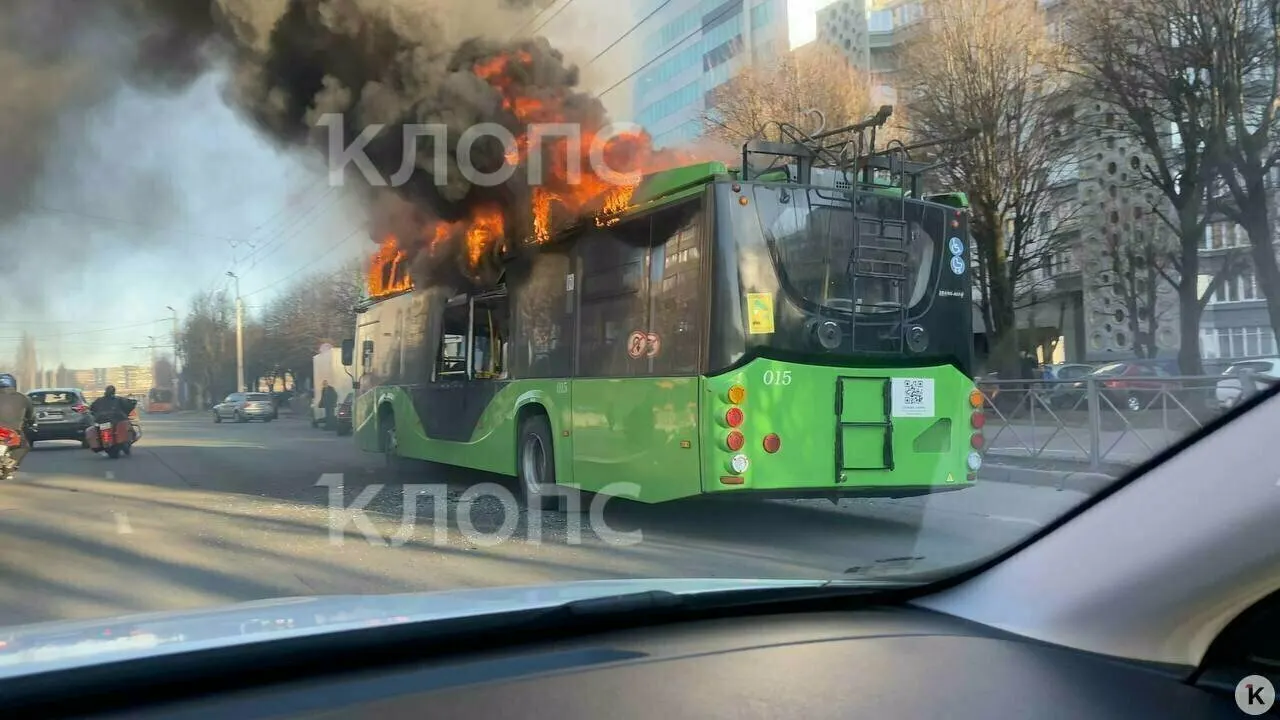 После крупного пожара в Калининграде может быть разрешена эксплуатация троллейбусов этой модели после устранения нарушений; проверка выявила проблемы с батареей и дверями.