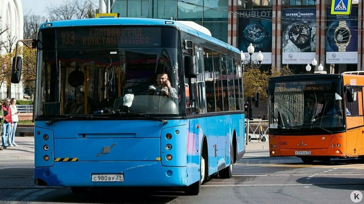 С 5 по 13 августа на участке Центральной улицы в Матросово запланирован ремонт водопропускных труб. Автобус №145 будет обходить Храброво через Гурьевск до Некрасово и обратно через Матросово. Для доступа к Привольному и Храброво можно воспользоваться автобусом №116.