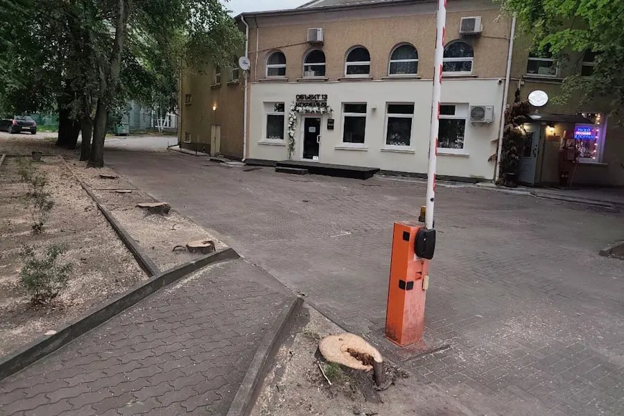 На улице Баранова в Калининграде вырубили шесть лип перед входом в здание регионального отделения ВФСО «Динамо»; собственник участка должен высадить взамен новые деревья.