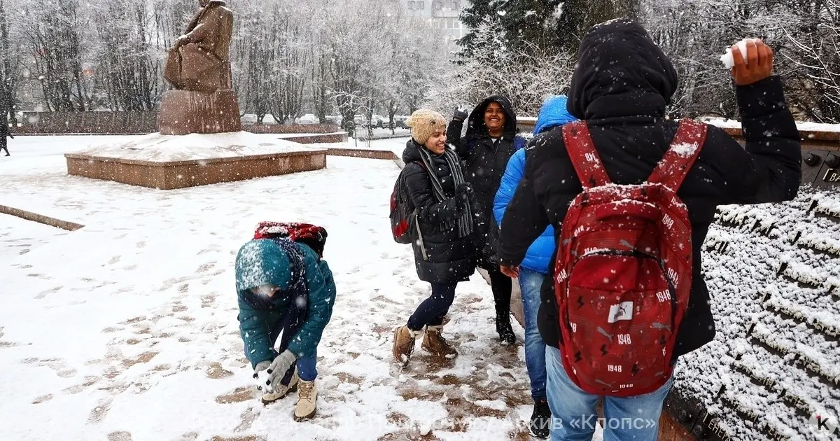Половина первокурсников Калининградского БФУ — иногородние и иностранцы; всем предоставляются общежития.