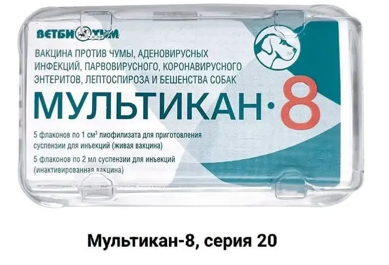 Владельцы просят независимое расследование гибели собак после прививки вакциной «Мультикан-8», выражая подозрения в попытках скрыть факты и недостатке анализа на вирус Ауески.