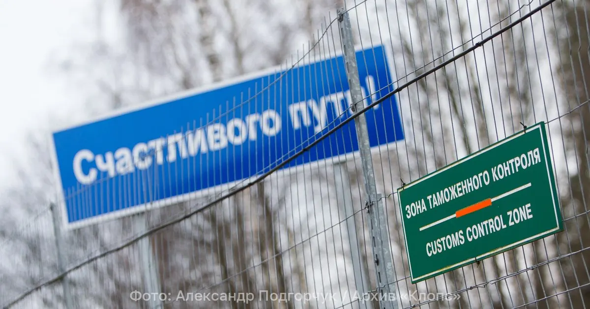 Партия свинины в 3 тонны была задержана на пограничном пункте Чернышевский после выявления несоответствий сопроводительных документов и начала приемки в пункте назначения.