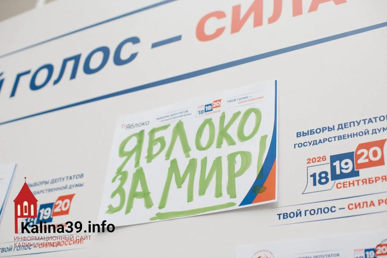 После жеребьевки региональный список получил третий номер; партия сохраняет участие в выборах Заксобрания области.