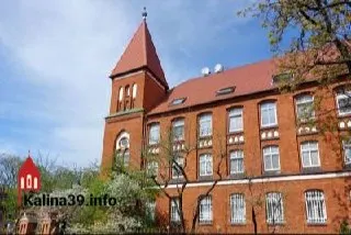 Разрешение на вырубку получено; за уничтожение насаждений заплатят свыше двух миллионов рублей, взамен высадят 29 деревьев и 22 кустарника.