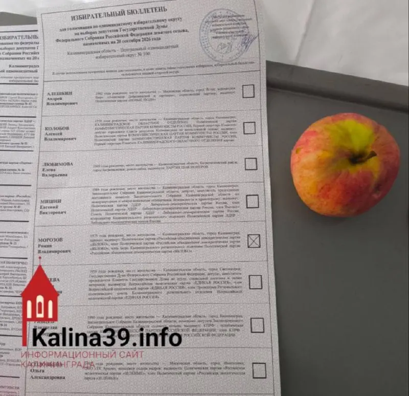 Кандидаты партии «Яблоко» в Калининградской области набрали в среднем 13,65% на выборах. Снятие списка не позволило партии получить место в региональном парламенте.