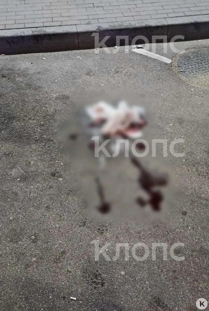 Ночью водитель обнаружил раненого мужчину на дороге; пострадавшего доставили в больницу, расследование продолжается.