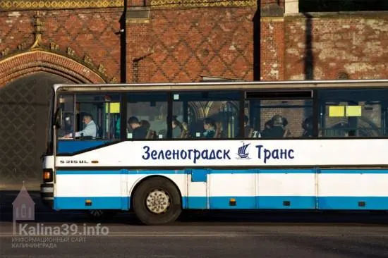 В Светлогорске запустят три маршрута с двумя рейсами на каждом, чтобы доставлять жителей к участкам.