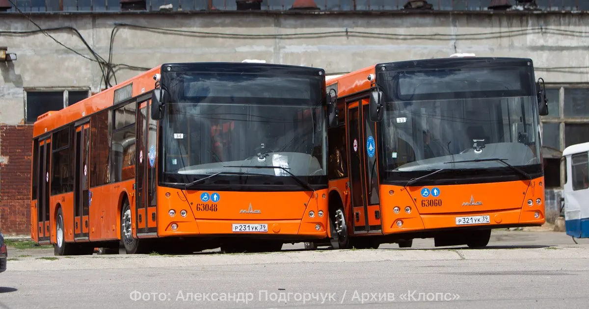 Из-за аварии на круговом перекрёстке автобусы №11 и №15 следуют по обходному маршруту через Благовещенскую, Суздальскую и Московский проспект.