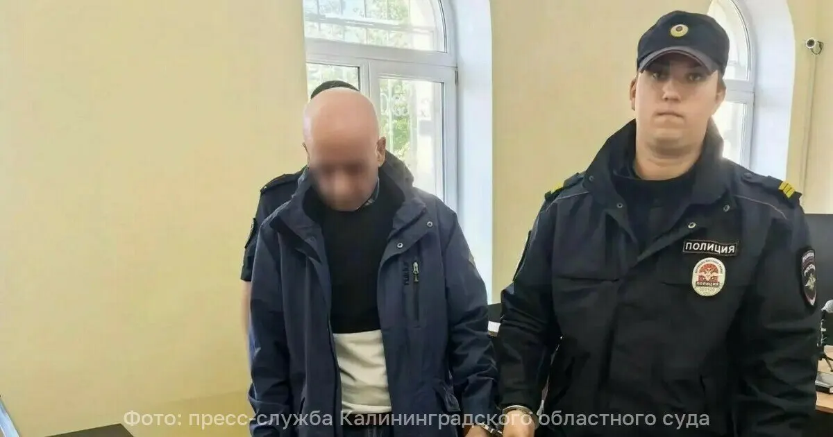 Два жителя Калининградской области подозреваются в мошенничестве, связанном с липовыми морскими документами; ущерб около 400 тысяч рублей, схема действовала около 2,5 лет.