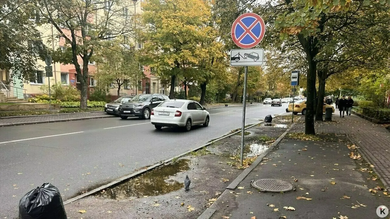 Городские власти сокращают парковочные места вдоль улиц, чтобы освободить пространство для пешеходов и велосипедистов, и расширяют тротуары и велодорожки. Пример реализации — на Яналова и Карла Маркса.