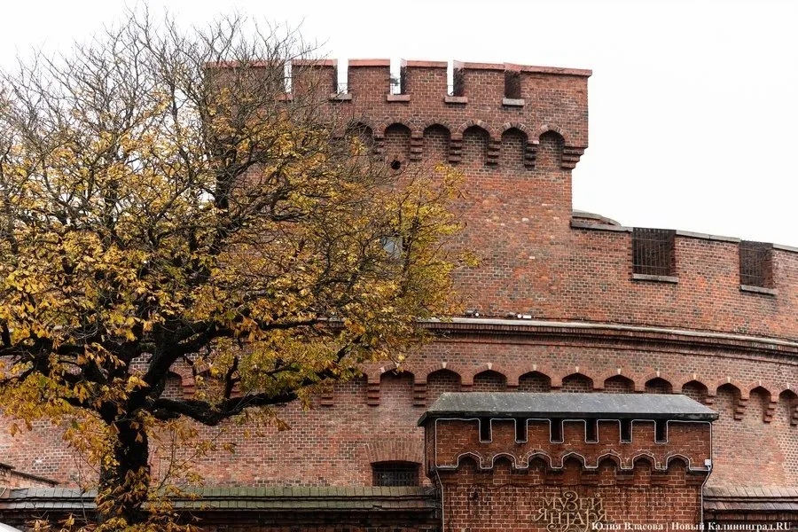 В Калининграде запланировано создание парковки для туристических автобусов за Музеем янтаря в рамках благоустройства территории; реализация проекта намечена на 2027–2028 годы.