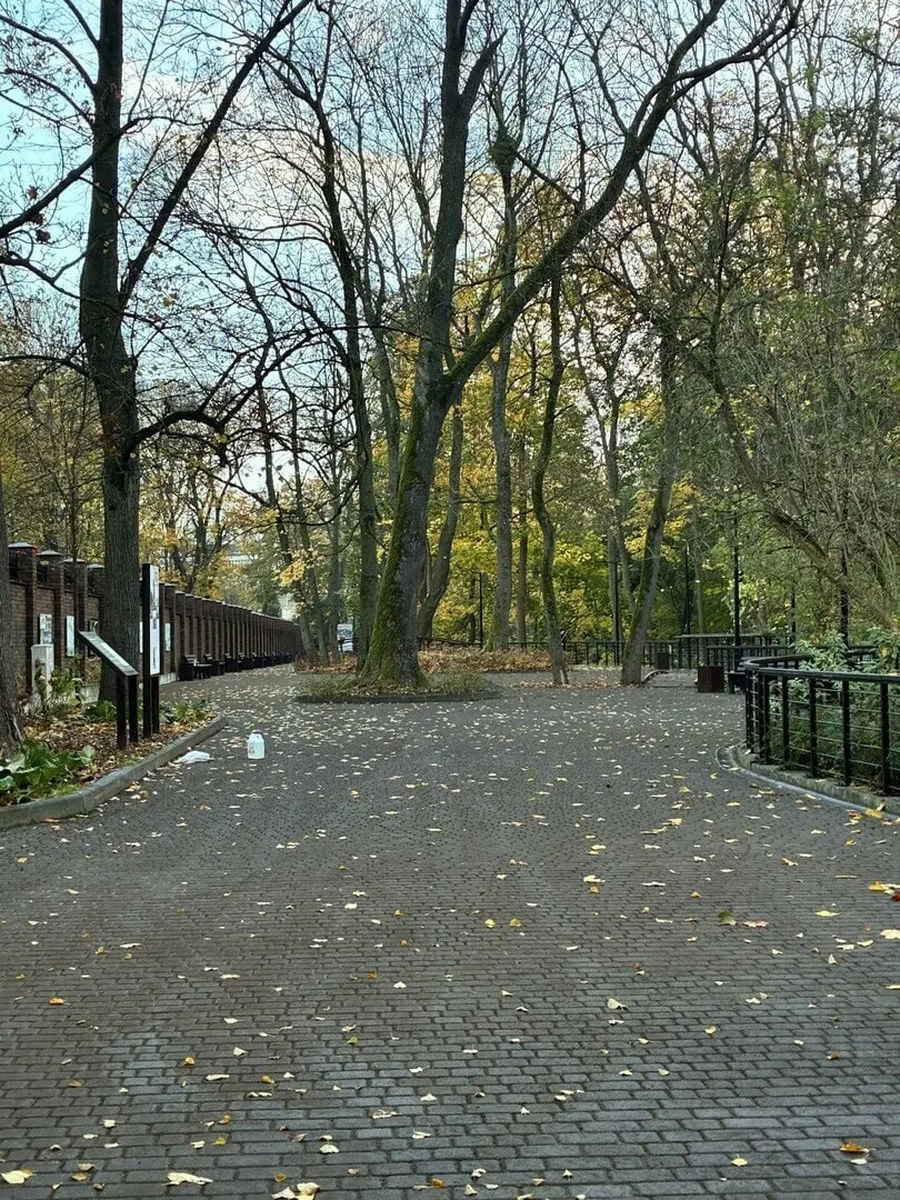 В&nbsp;Калининграде открыт Зоологический сквер
