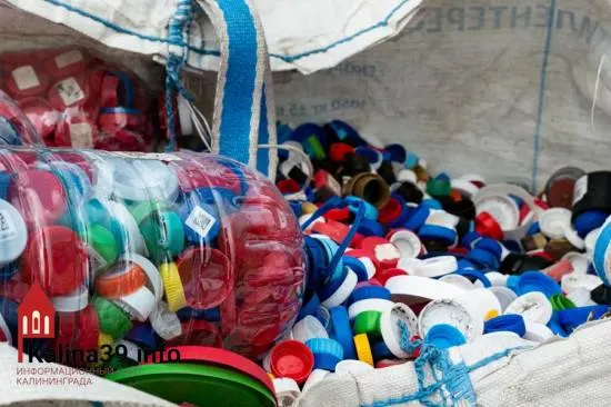 Проблемы переработки пластика в&nbsp;Калининградской области: почти 500&nbsp;тонн на&nbsp;складах
