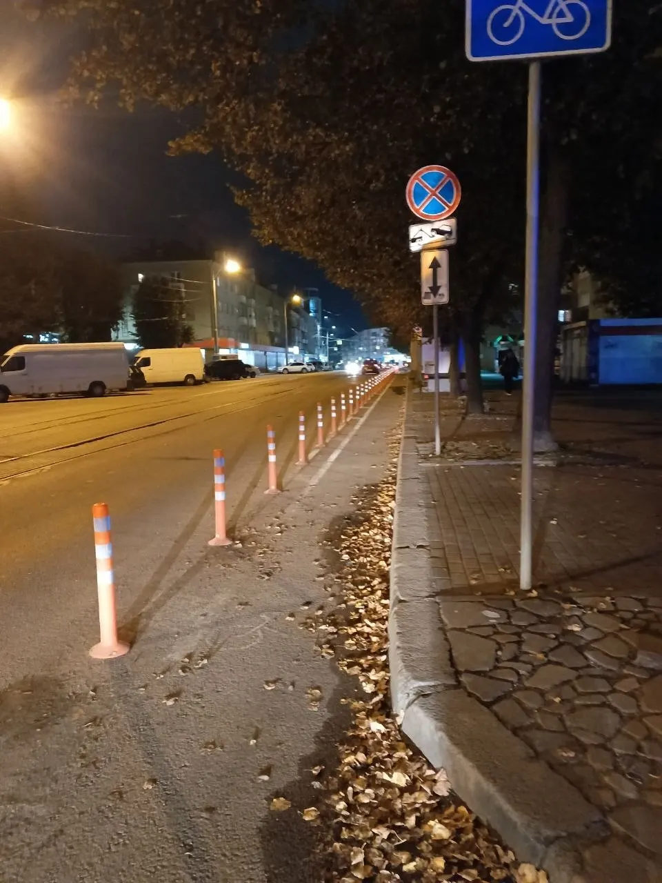 Столбики отделили велополосу от проезжей части, превратив ее в полноценную велодорожку, чтобы избежать перекрытия движения припаркованными авто.