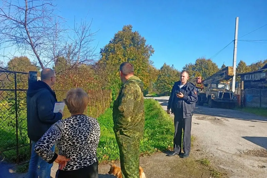 В Калининградской области вводят проверки целевого использования древесины, заготовляемой гражданами для собственных нужд.