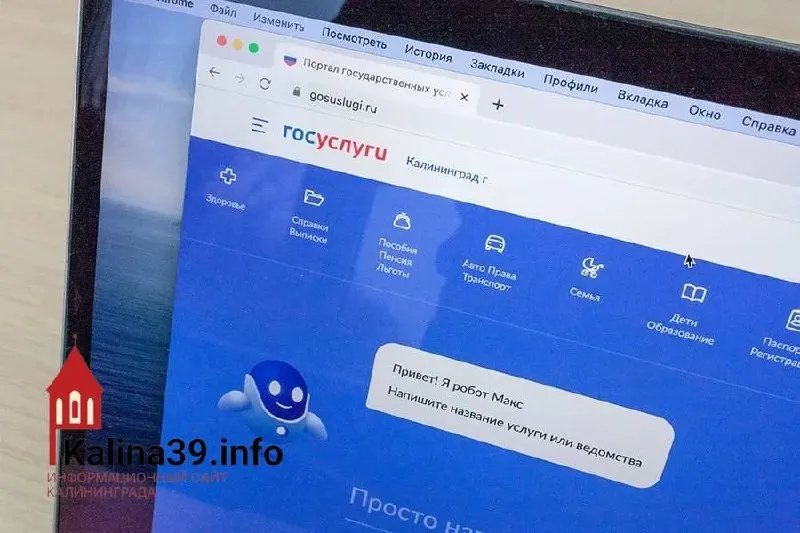 После нововведений в Медрег39 многие жители региона сталкиваются с проблемами записи к врачу через Госуслуги и трудностями авторизации.